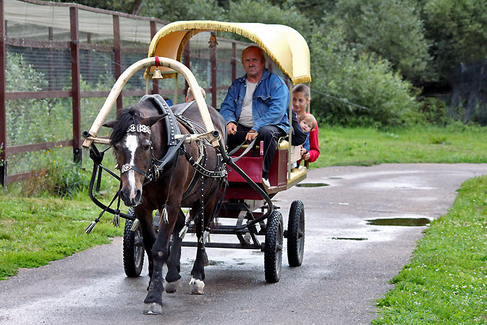 Вези меня извозчик по ..... - Nikolay Monahov