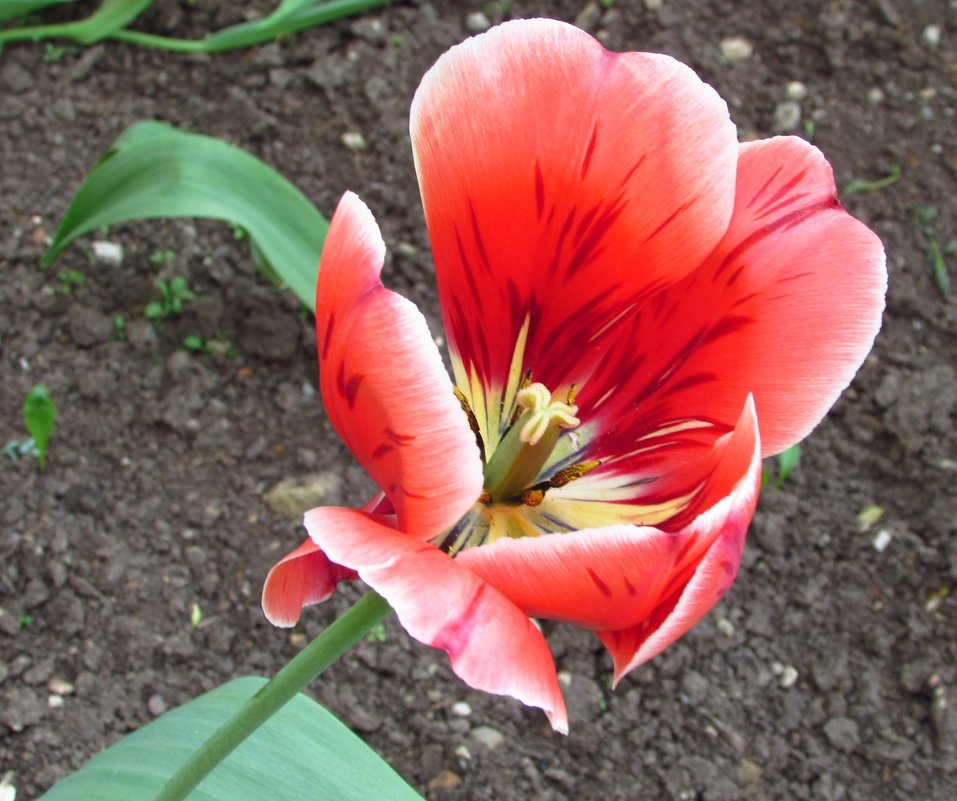 ... - Yulia Sherstyuk