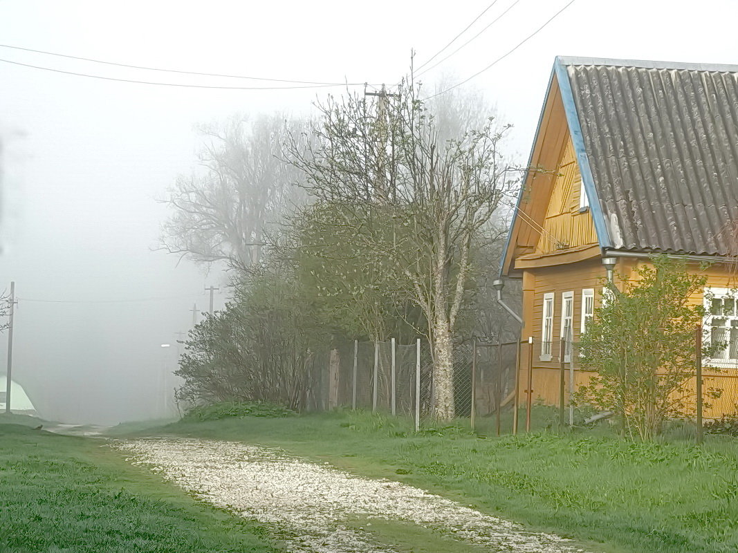 ... - Владимир Гилясев