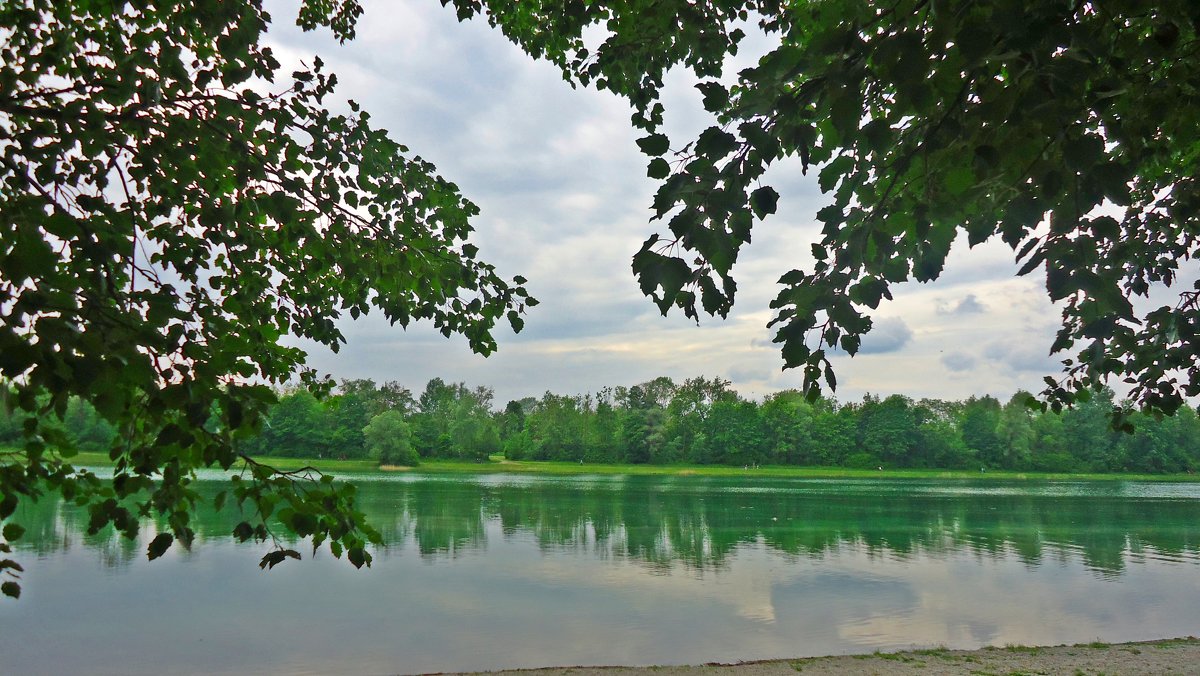 ... - Galina Dzubina