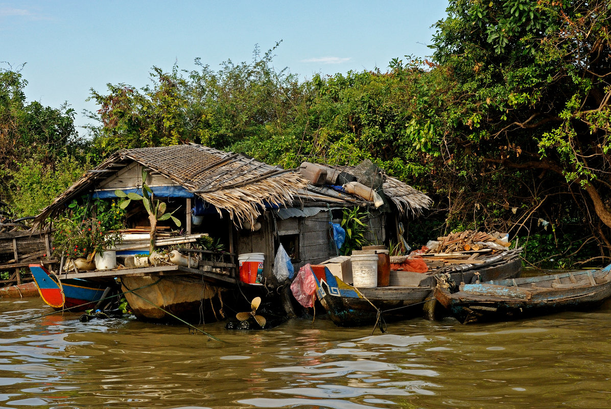 Зато у нас кактус на веранде... - Виктор Льготин Зато у нас кактус на веранде... - Виктор Льготин