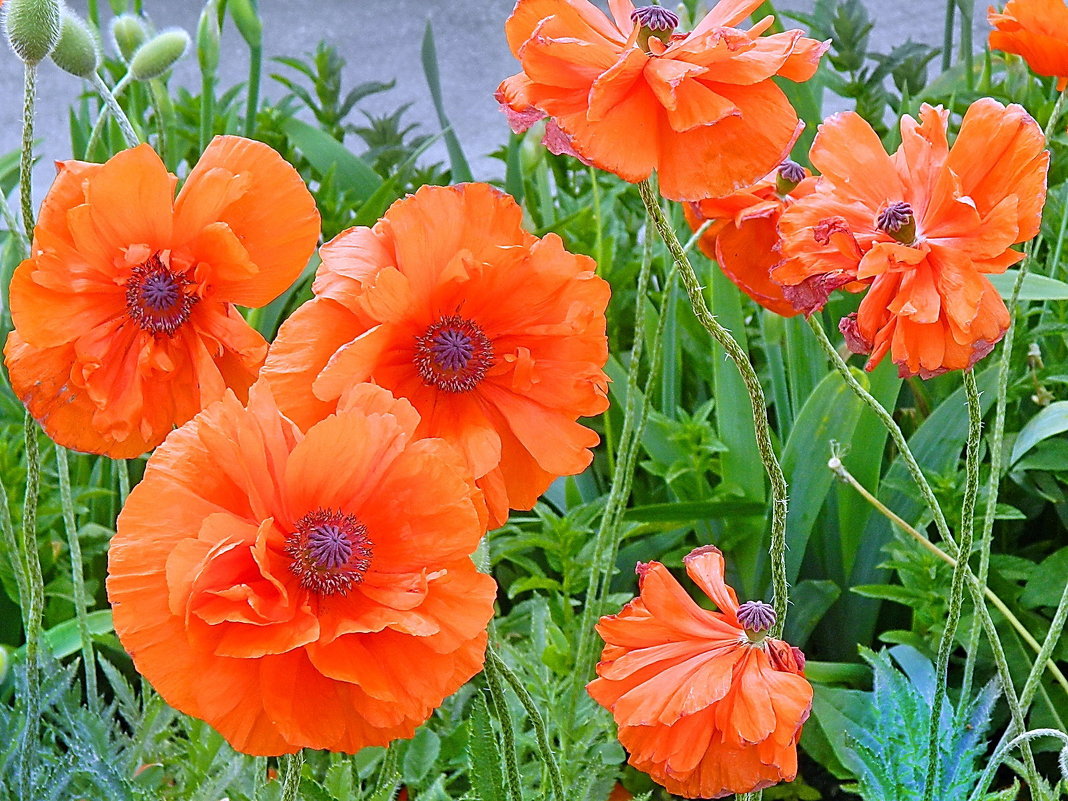 Элита и чернь - Александр Бурилов