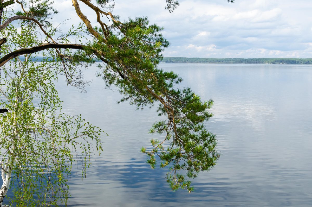 м - Александр К.