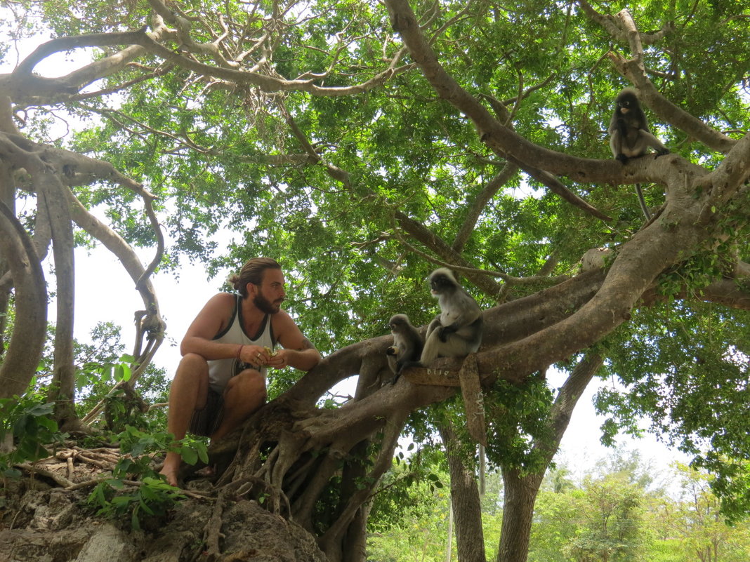 Не такие уж они и дикие - Наталья Нарсеева Не такие уж они и дикие - Наталья Нарсеева