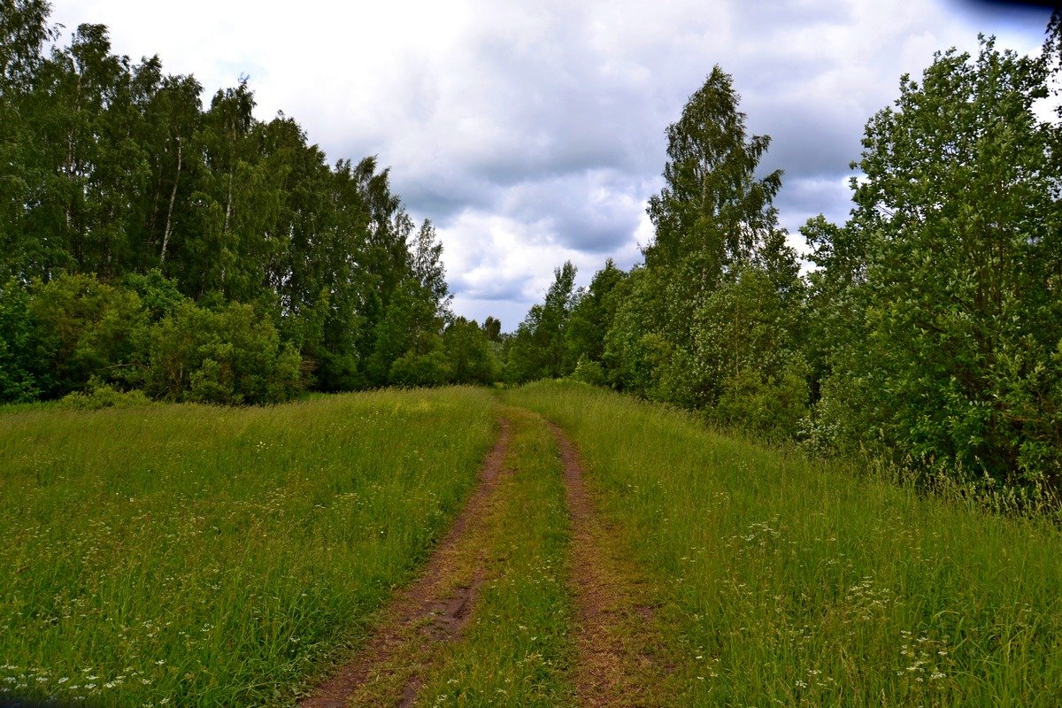 ОКРЕСТНОСТИ - Виктор Осипчук ОКРЕСТНОСТИ - Виктор Осипчук