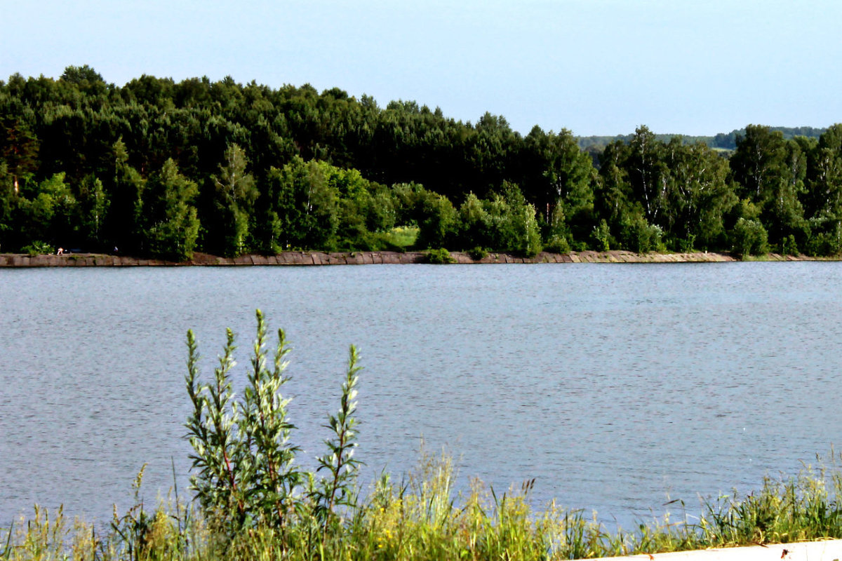 городской парк - Ксения Савинова