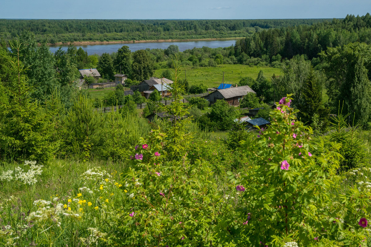 Родные просторы... - Михаил 