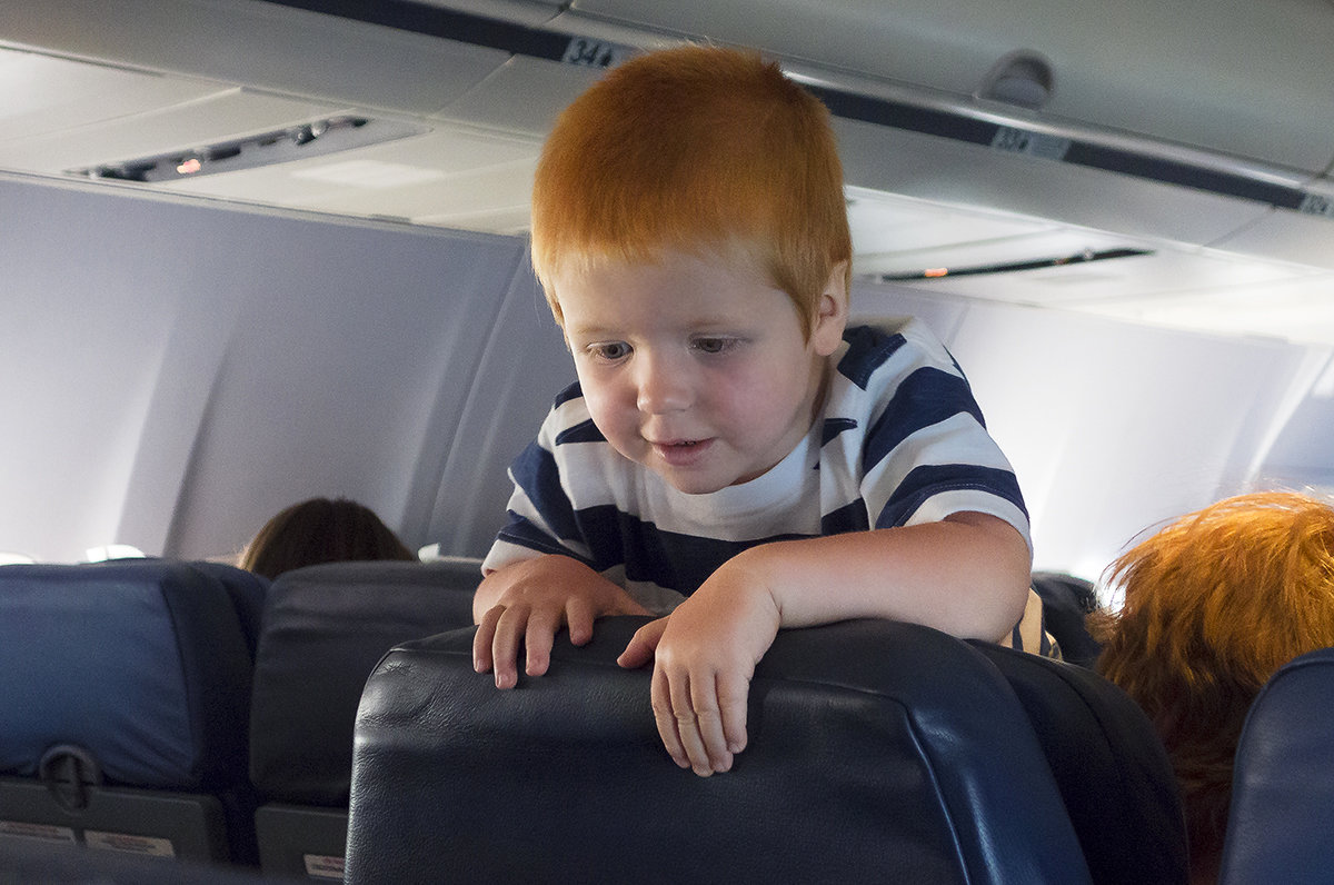 Рыжик любопытный - Алексей Окунеев Рыжик любопытный - Алексей Окунеев