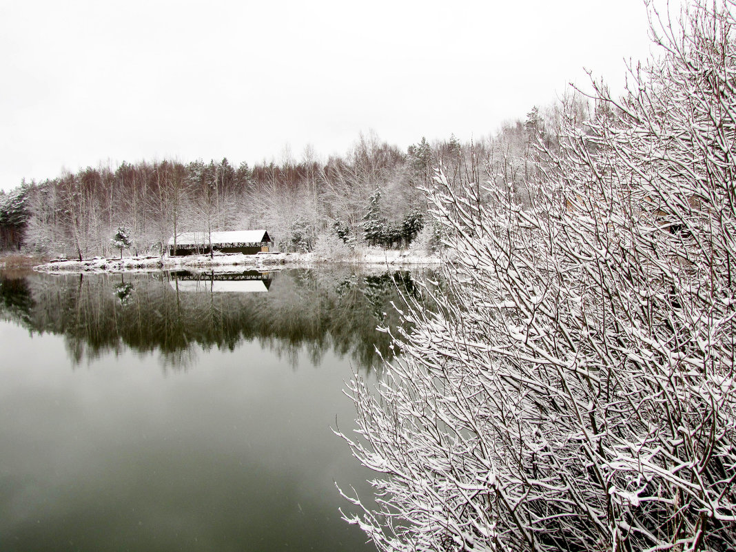 зима - Анастасия Долгополова