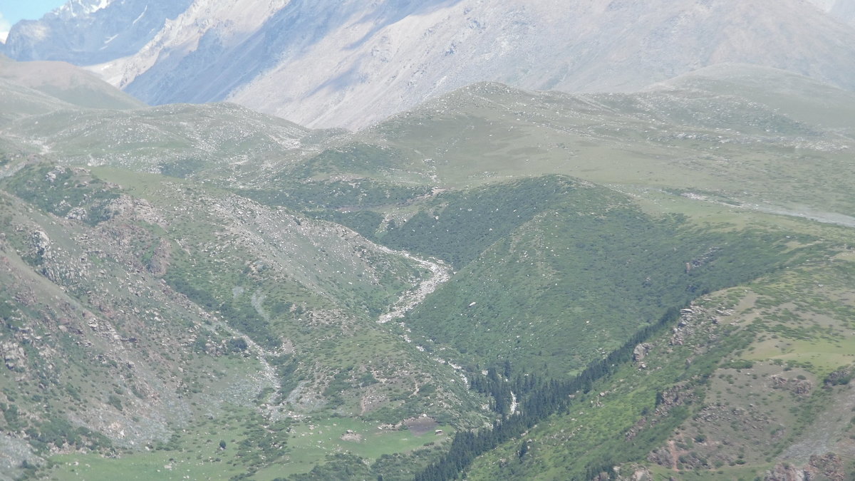 *** - Андрей Солан