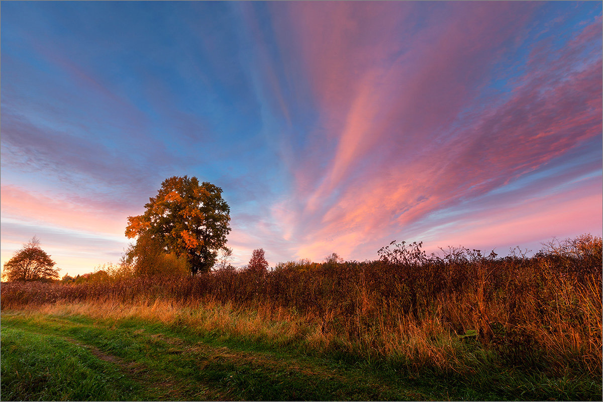 Вечерний свет... - Александр Никитинский