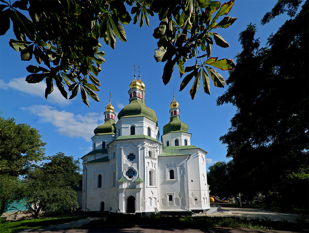 Солнечный день - Александр Бойко