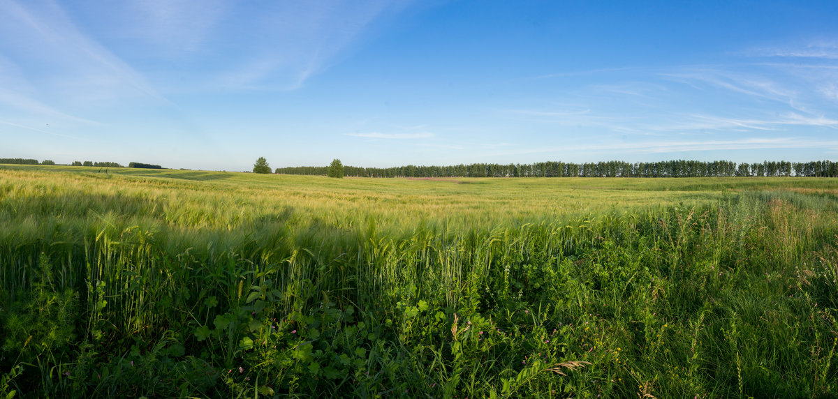 Панорама - Alex Bush