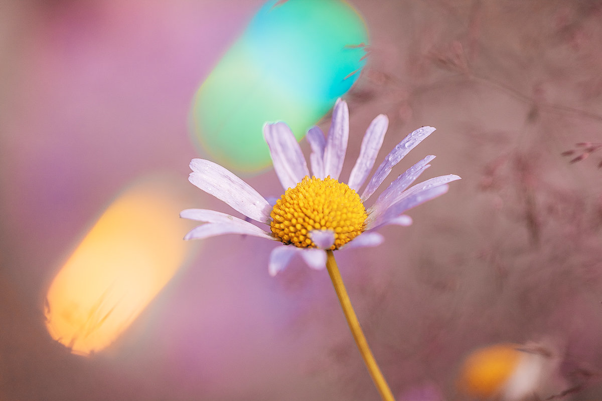 # - Вадим Белов # - Вадим Белов