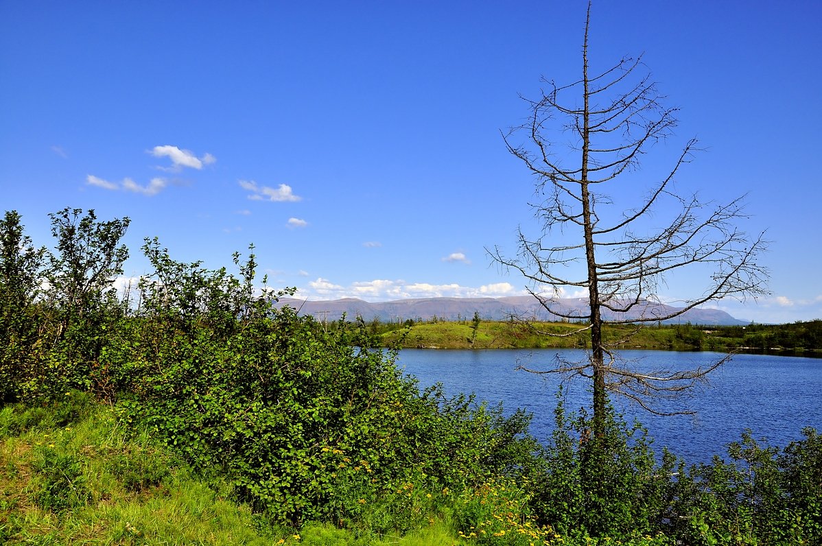 *** - Витас Бенета