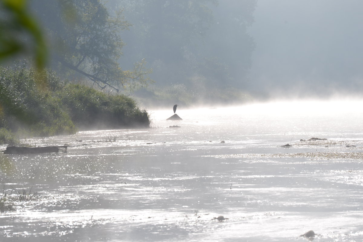 Утро на р. Ай. Цапля - Татьяна Крэчун Утро на р. Ай. Цапля - Татьяна Крэчун