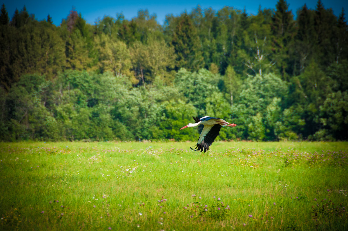 Побег - Андрей Куприянов