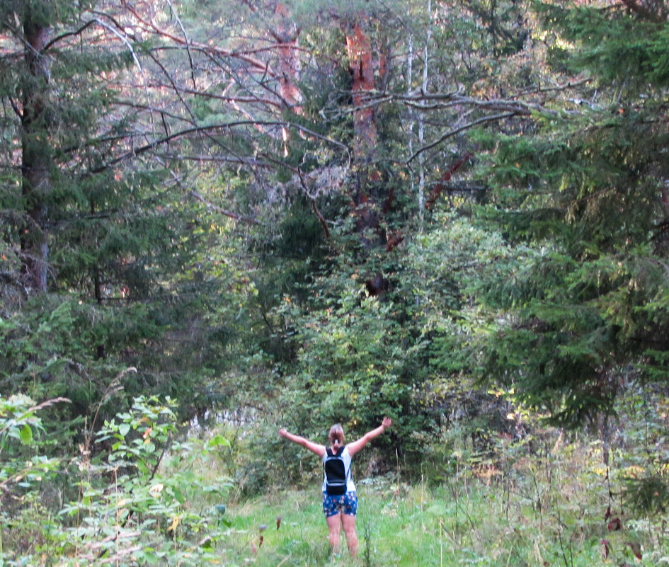 *** - Елена Маркова