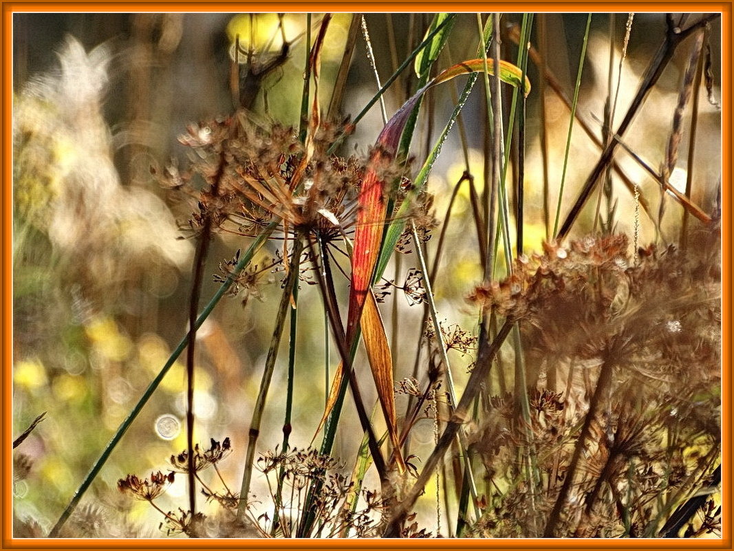 Имприсьён-трависьён. - Владимир Гилясев