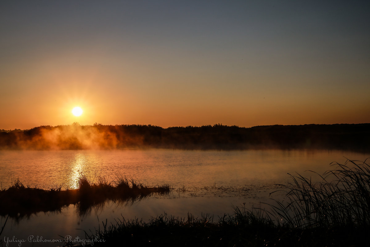 Туман на рассвете - Юлия Пахомова Туман на рассвете - Юлия Пахомова