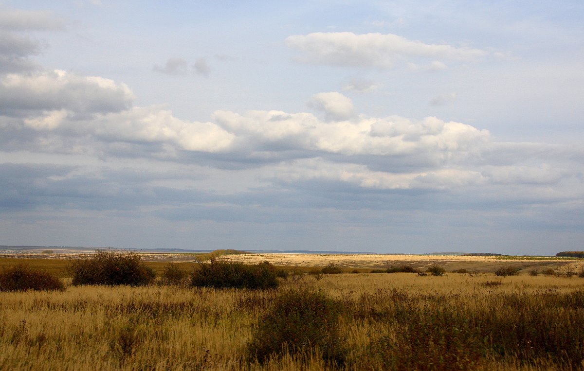 *** - Валерия Полещикова *** - Валерия Полещикова