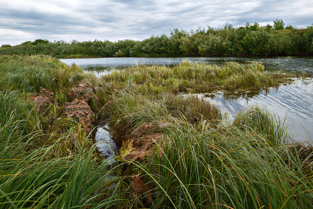 *** - Юрий Михайлов