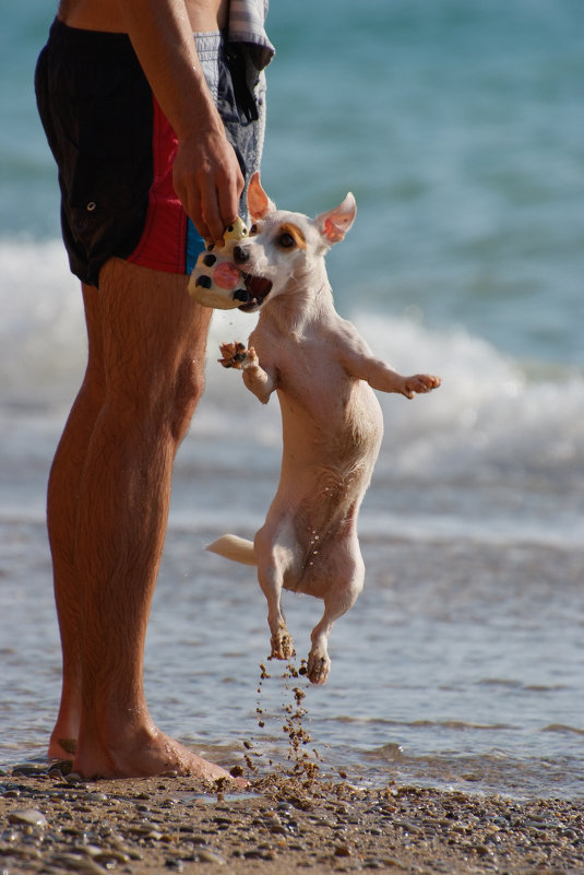 Давай поиграем - Сергей ***