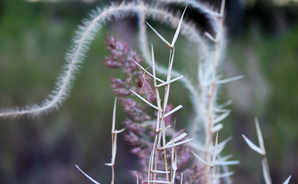 Найди меня - Madina Kerei Найди меня - Madina Kerei