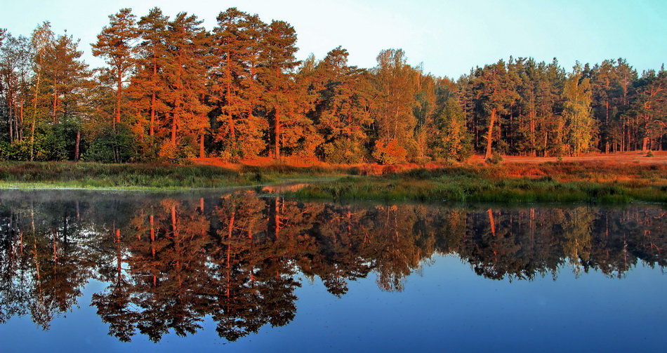 Уже холодные рассветы... - Лесо-Вед (Баранов) Уже холодные рассветы... - Лесо-Вед (Баранов)