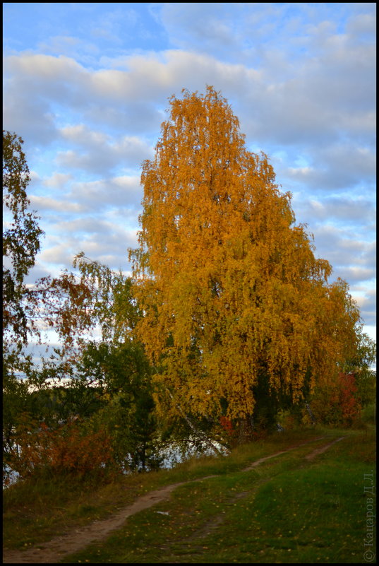 Осени краски - Денис Кацаров