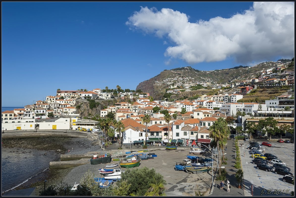 Madeira with love. - Jossif Braschinsky