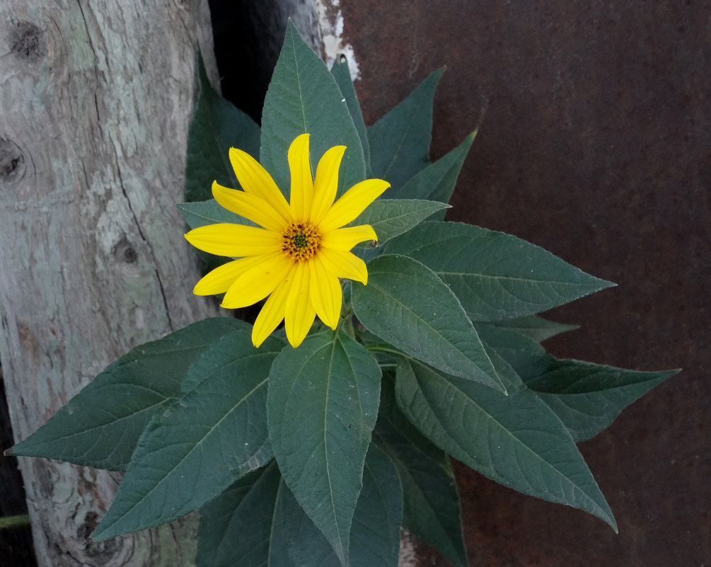 :) - Юлия Мошкова 