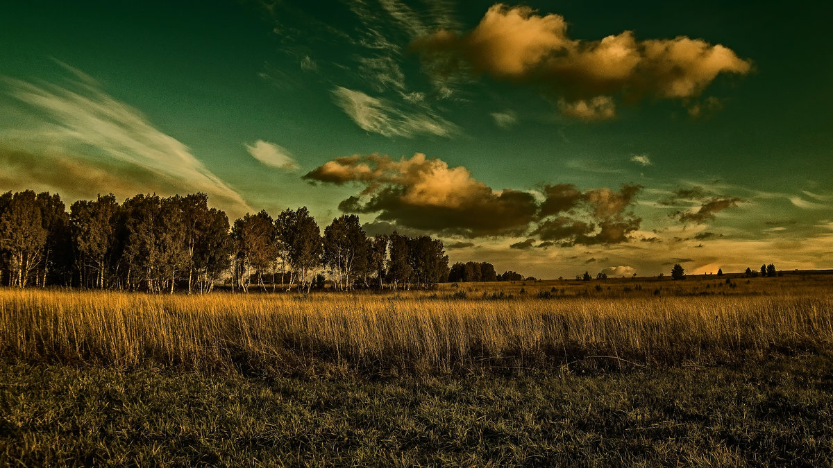 *** - Вадим Губин