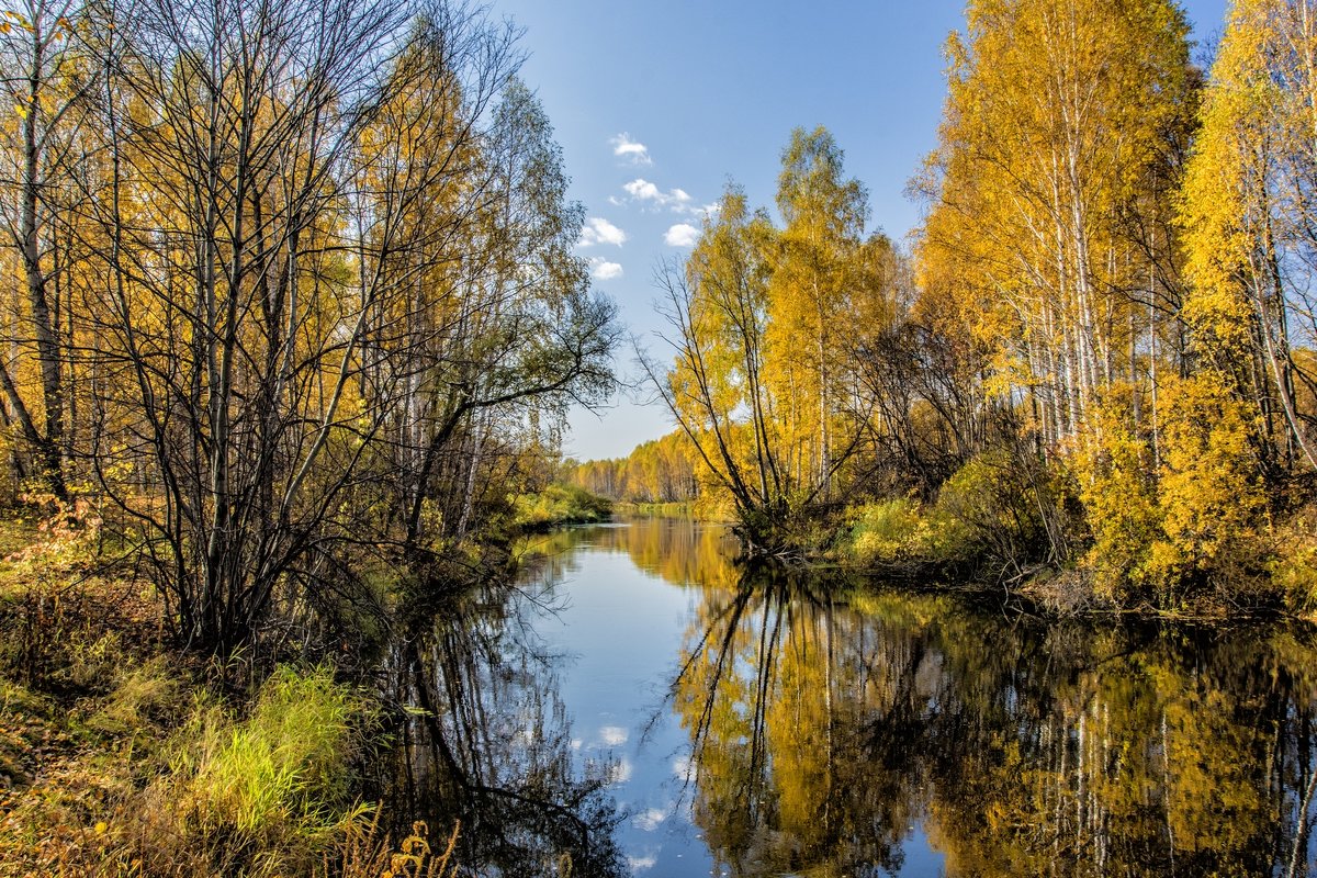 Russian autumn - Dmitry Ozersky