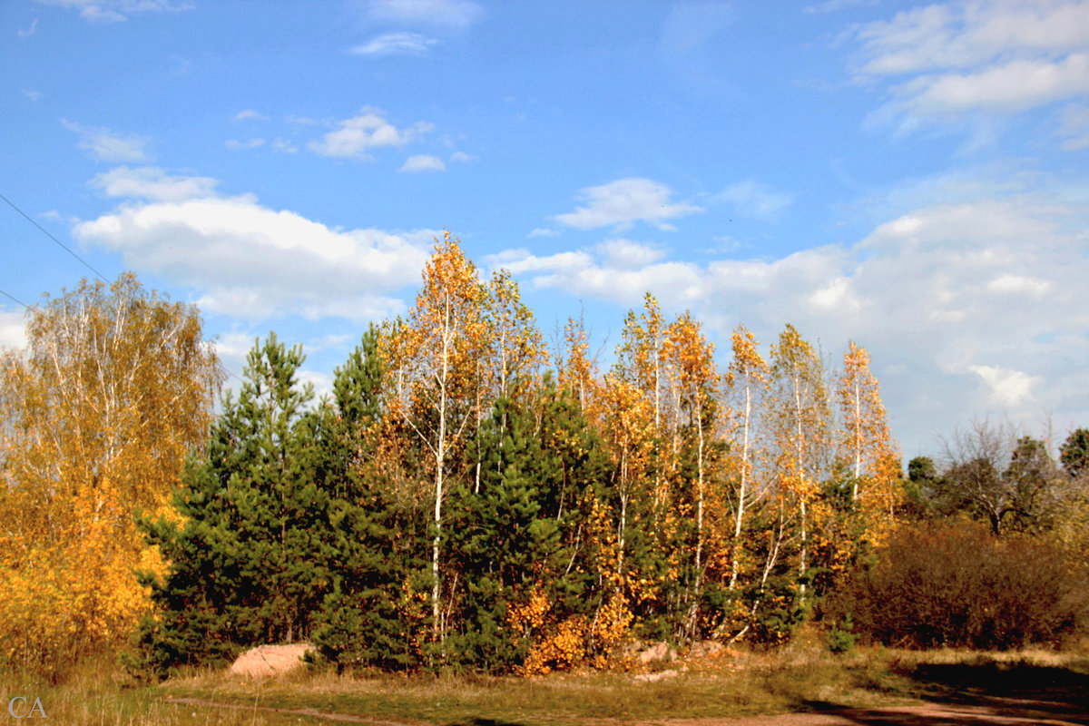 В осенних нарядах - Александр Садовский