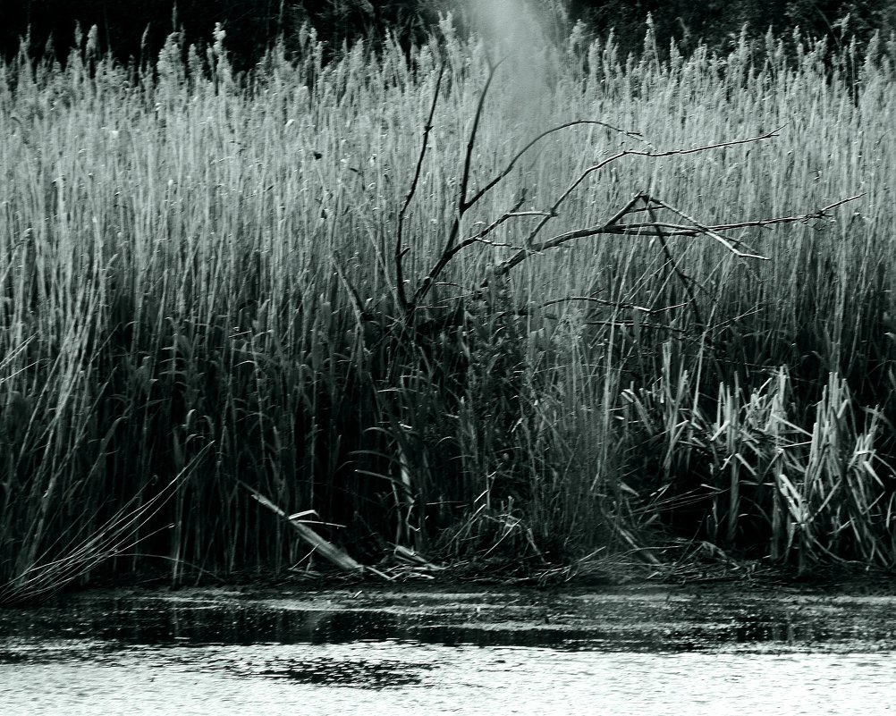 Одиночество. - Валерия Полещикова Одиночество. - Валерия Полещикова