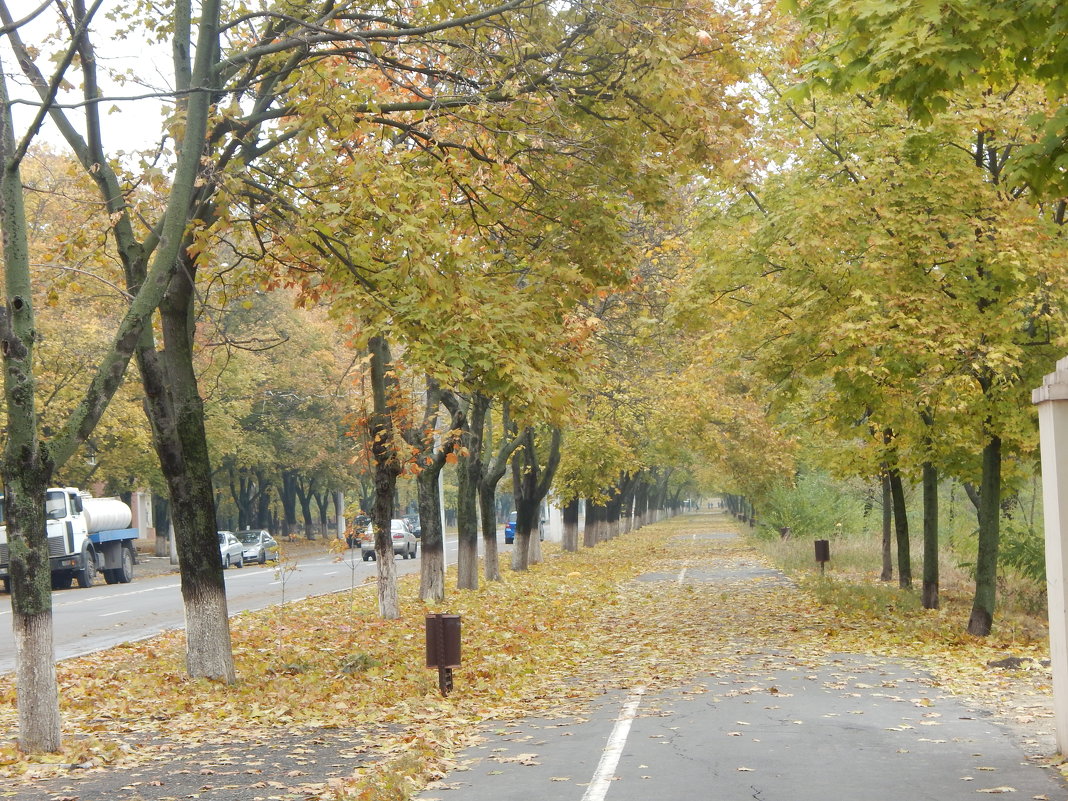 золото осени - Лилия Дубчак