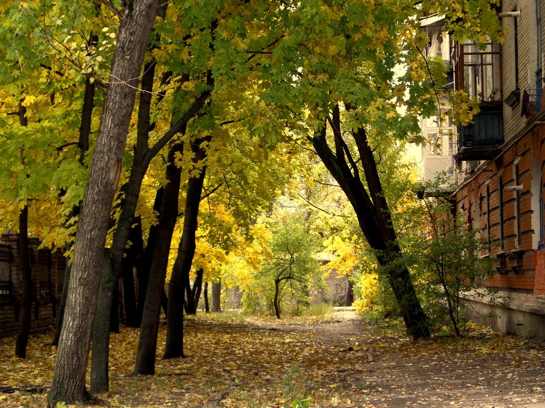 Осень... - Сергей Петров
