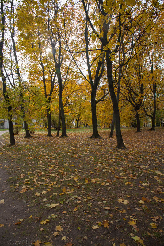 Осенний парк - Александр Знаменский