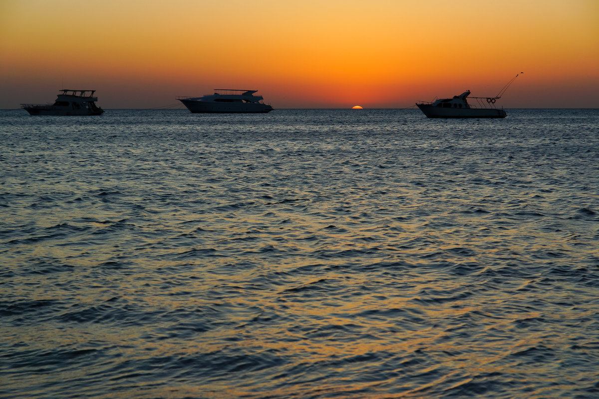 Lotus Bay. Safaga. Egypt. - Андрей Калгин