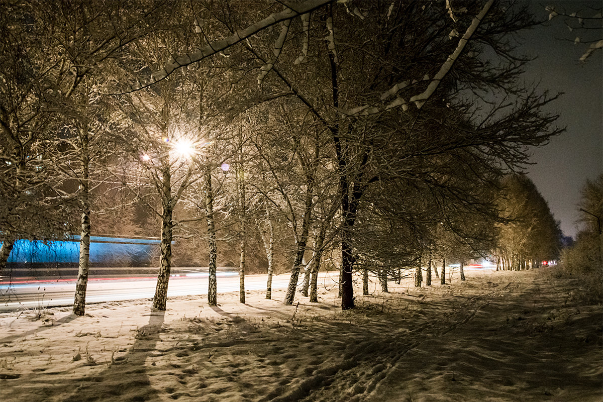 Вечерняя аллея - Андрей Жданов