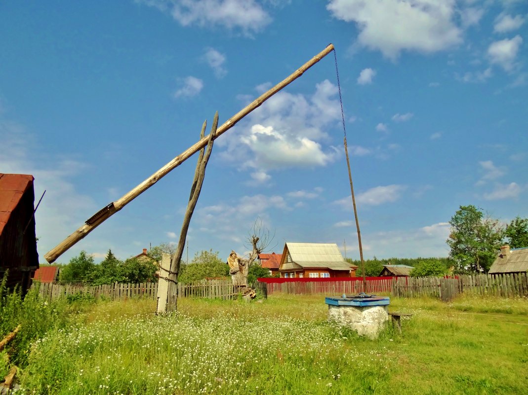 деревенский журавль - Валентина. .