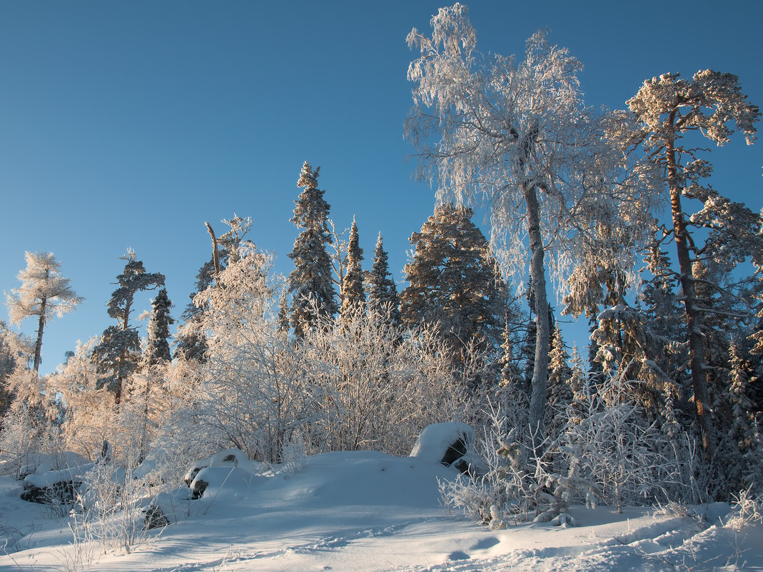Сверкающие на солнце - vladimir Bormotov Сверкающие на солнце - vladimir Bormotov