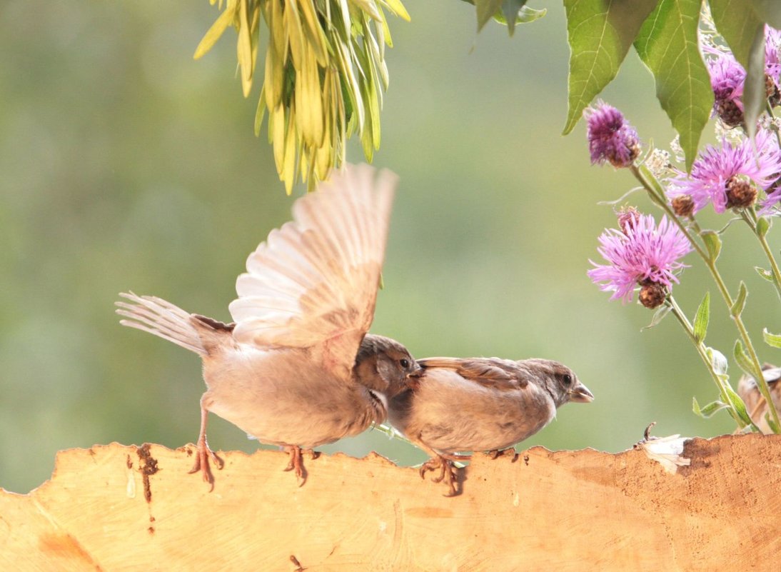 Необычная ситуация №176 - Вячеслав Необычная ситуация №176 - Вячеслав