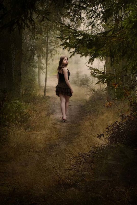 в парке старинном... - Роман Шафовал 