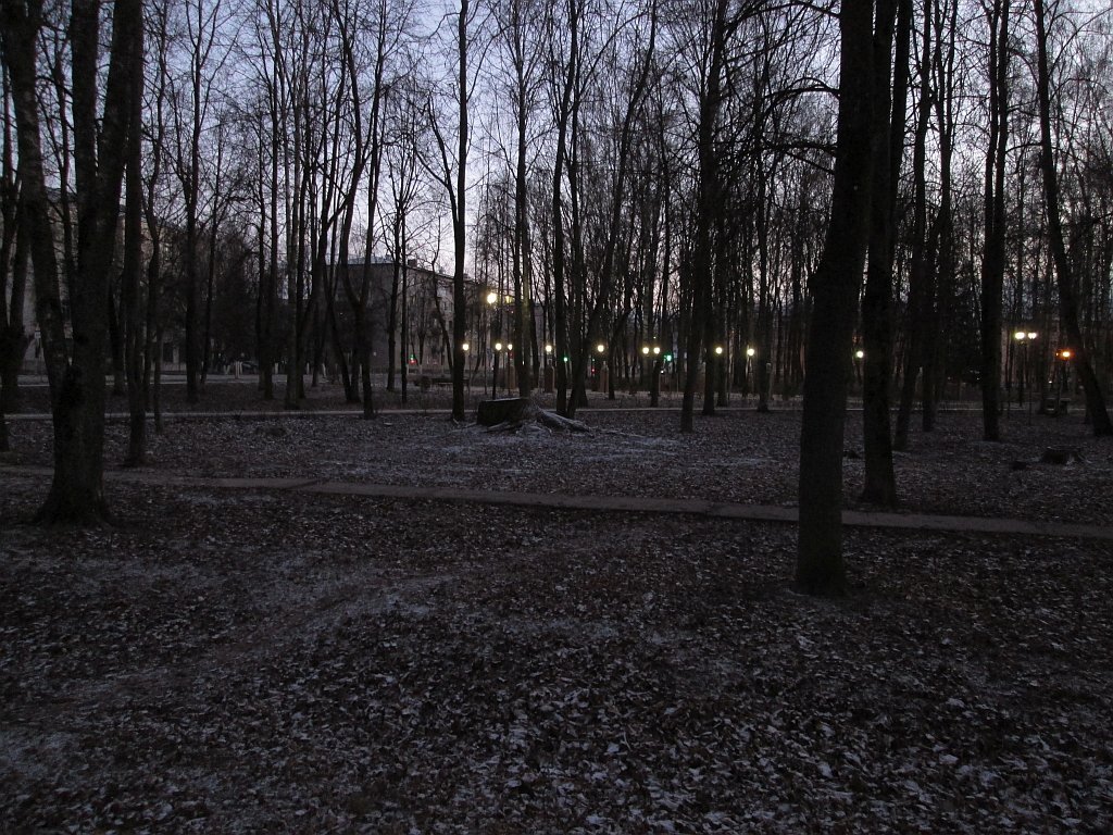 Новогодний вечер в парке городском. - Sergey Serebrykov