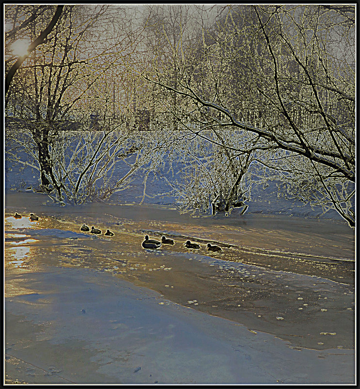 ...На встречу закату... - Владимир Богославец ...На встречу закату... - Владимир Богославец