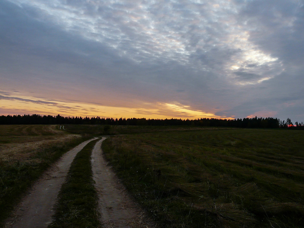 Закат - Алена Сизова