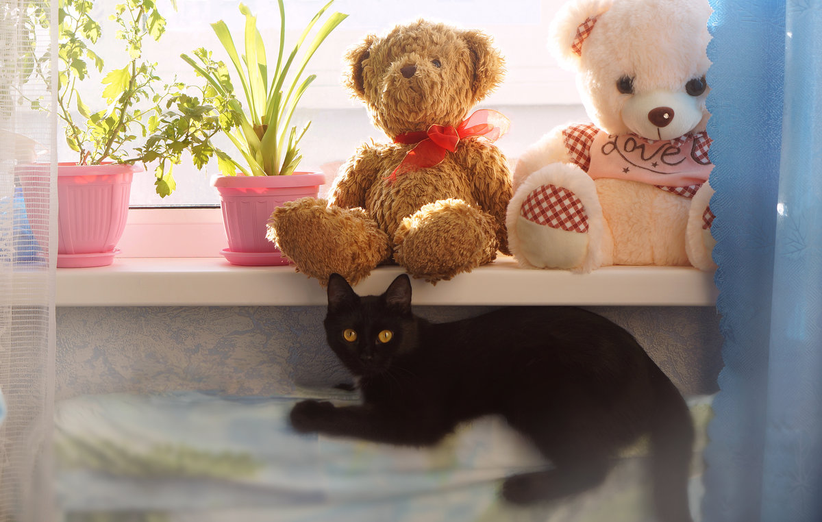 Солнечная... - Элен . Солнечная... - Элен .