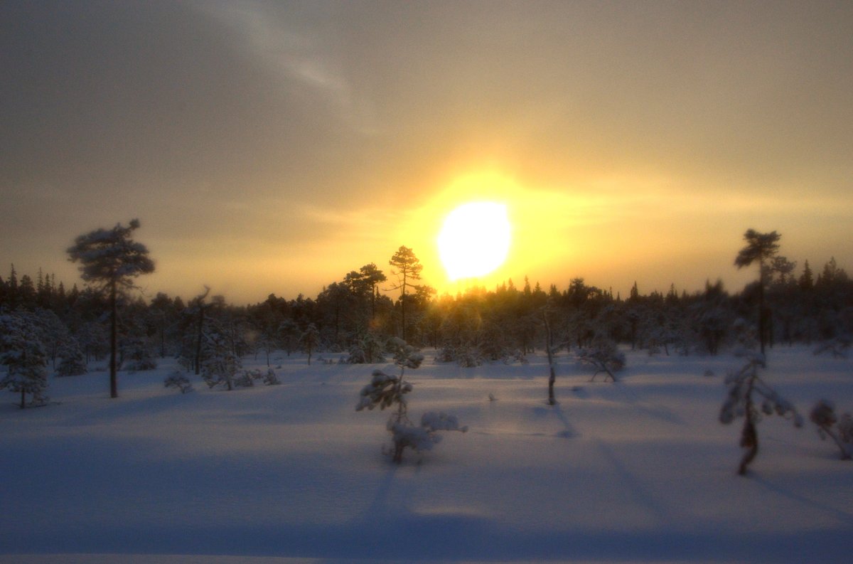 Акварели северных далей... - Елена Третьякова